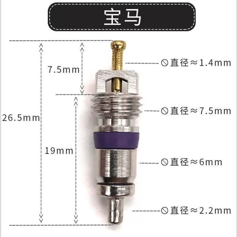 Applicable to BMW AC Valve Core 64536922944 0008320285 Automotive AC Valve Core Wholesale