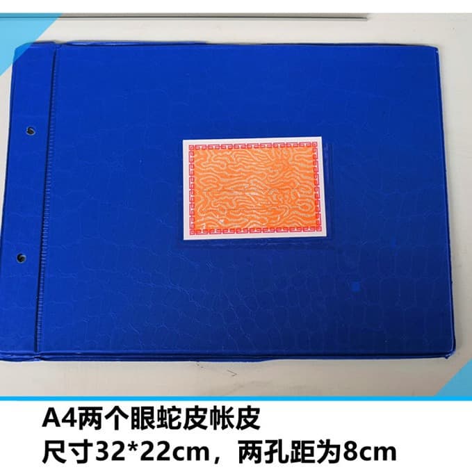 A4 Size 22*32cm Horizontal Two-Hole Account Cover Snake Skin Pattern Plastic Cover Blue Cover