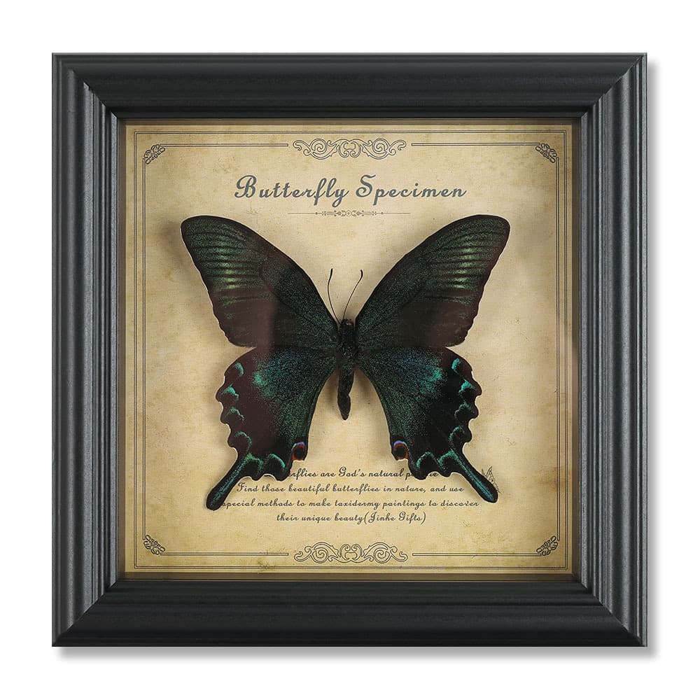 Real Butterfly Specimen Frame High-end Wooden Decorative Painting Home Ornament European Retro Frame Stand Birthday Gift