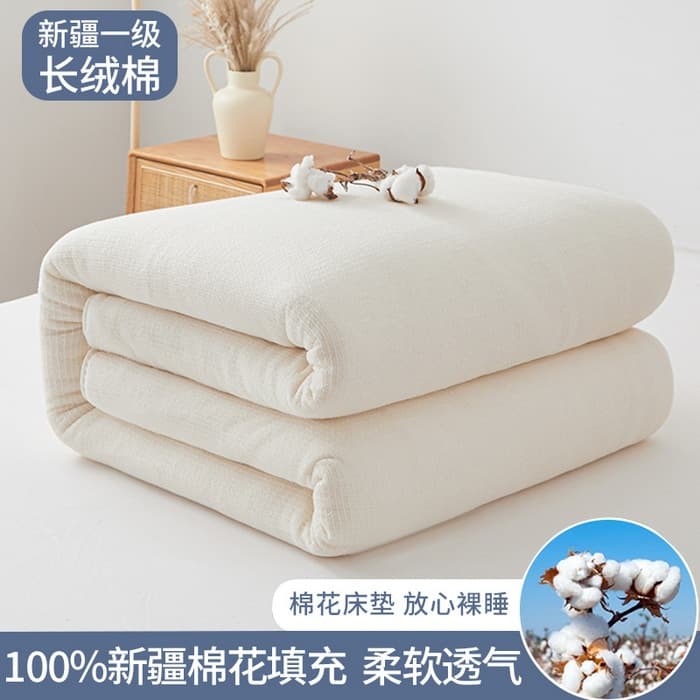 Xinjiang cotton quilt spring and autumn quilt quilt pad warm quilt quilt core cotton tire cotton quilt core student dormitory winter quilt wholesale