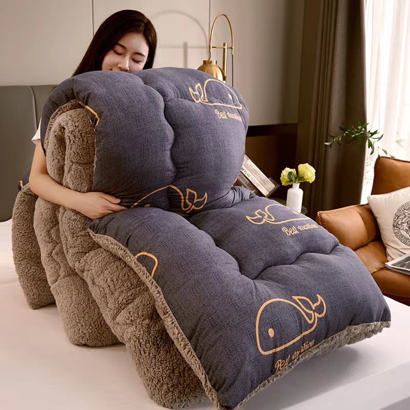 Cross-border lambswool brushed printed winter quilt, spring and autumn thickened quilt core, single and double student dormitory air-conditioning quilt