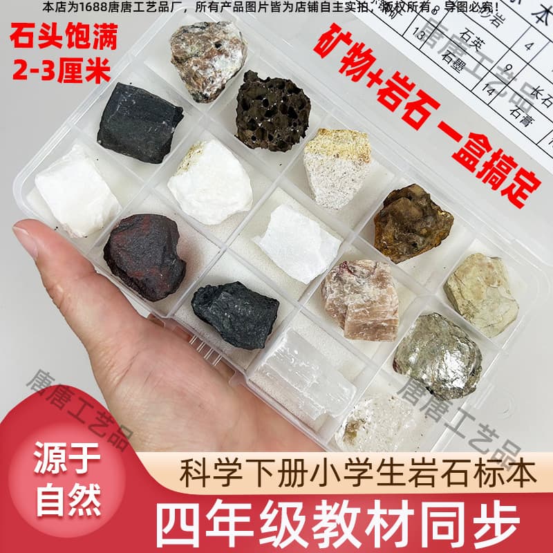 Elementary School Grade 4 Science Class Second Semester Rock and Mineral Specimen Box Stone Teaching Tool Small Experiment Kit Science Observation
