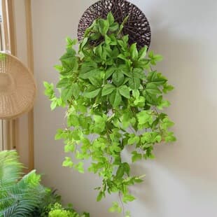Artificial Ivy Fake Flower Vine Decoration Green Plant Winding Green Leaf Pipe Plastic Flower Vine Plant Ceiling