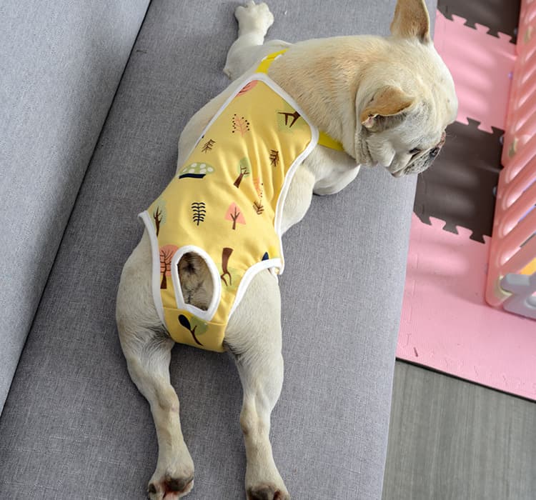 Pet Diapers Dog Physiological Pants Teddy Pants Urine Pad Menstrual Auntie Menstrual Dropshipping