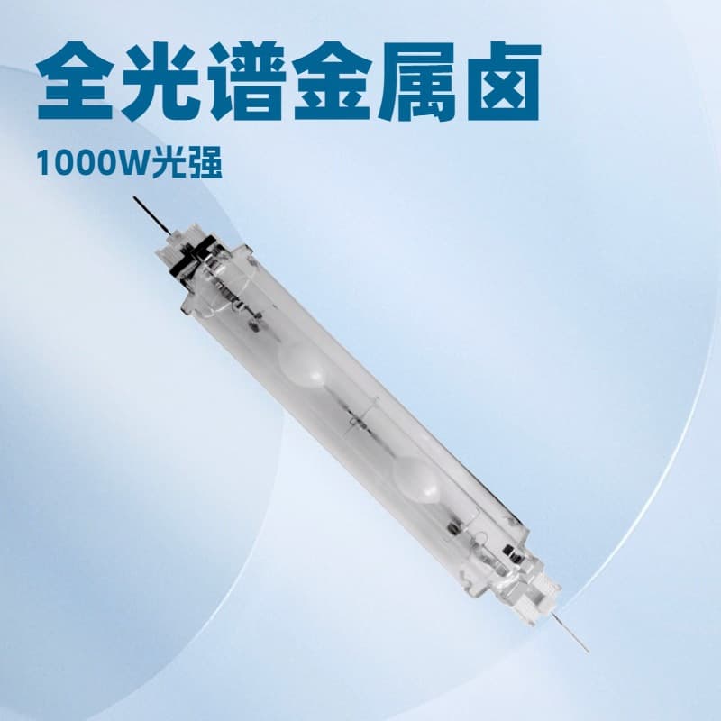 New Generation 1000W DE CMH Lamp 3000K Full Spectrum Metal Halide for Hydroponics and Greenhouses