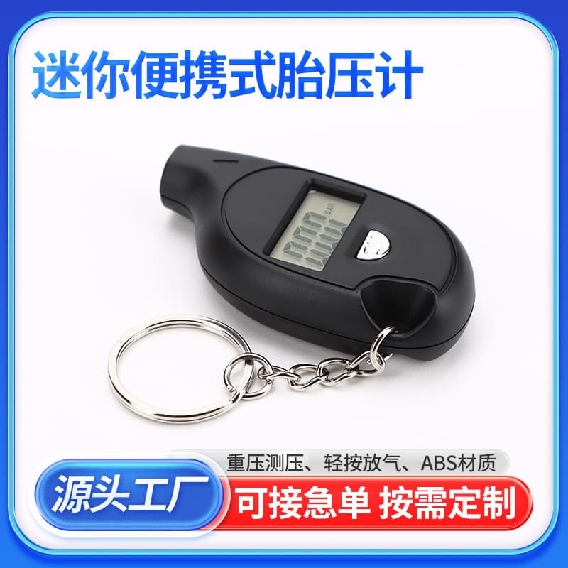 Digital Mini Tire Pressure Gauge Portable Car Tire Pressure Measurement Anti-Loss Keychain Tire Pressure Gauge