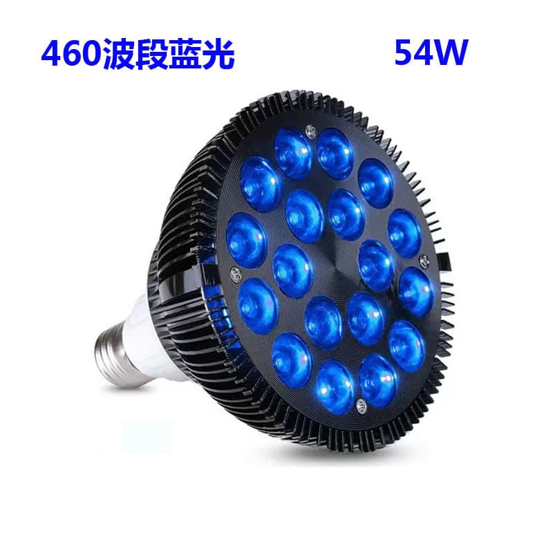 Amazon Best-Seller PAR38 Blue Light Bulb, 54W 460nm Blue Spotlight with E27 Base