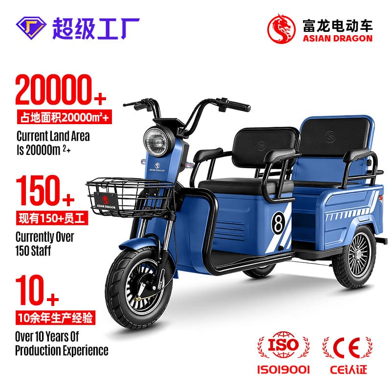 C3 Model Export Leisure Tricycle Source Factory OEM/ODM Cross-border Electric Tricycle