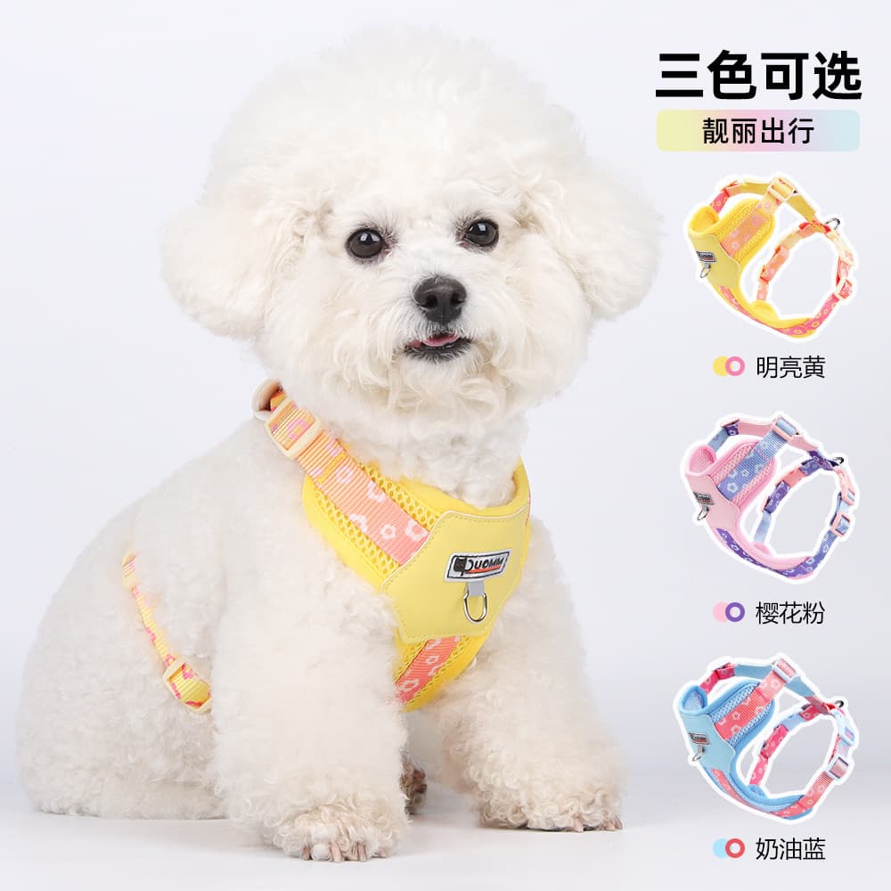 Curated Dog Harness with Leather Back, Easy-to-Clean, Gradient Webbing, Trendy Street Style Dog Leash