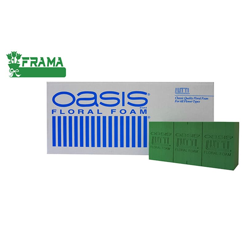 Oasis® Floral Foam 20 Blocks, Dry/Wet Foam for Flower Arrangements, Factory Wholesale, Preserved Flowers & Fresh Flowers