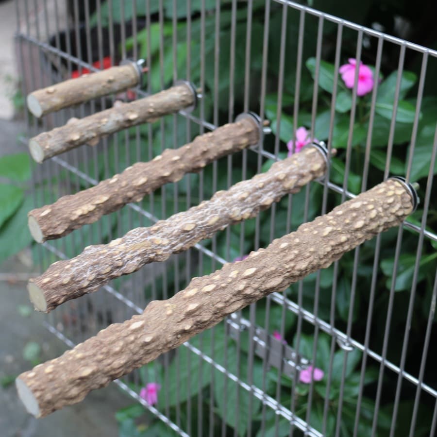 Bird Perch Stand with Zanthoxylum Wood, Factory Wholesale Bulk Stock, Bird Toys, Parrot Supplies, Parrot Toys
