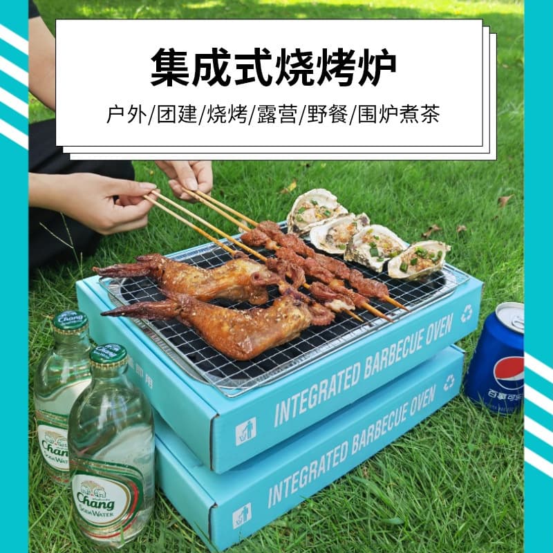 Disposable Camping Grill Outdoor Roasting Skewer Set Indoor Home BBQ Tools Mini Roasting Rack