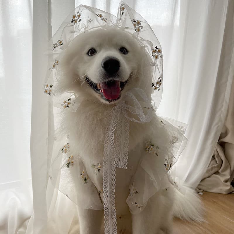 Pet Dog Spring Summer Winter Thin Wedding Dress Suit for Large and Medium Dogs Samoyed Golden Retriever
