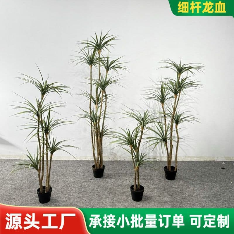 Simulated thin-stem dragon's blood tree light luxury living room decoration tree indoor bonsai bionic three-dimensional dragon's blood tree potted plant wholesale