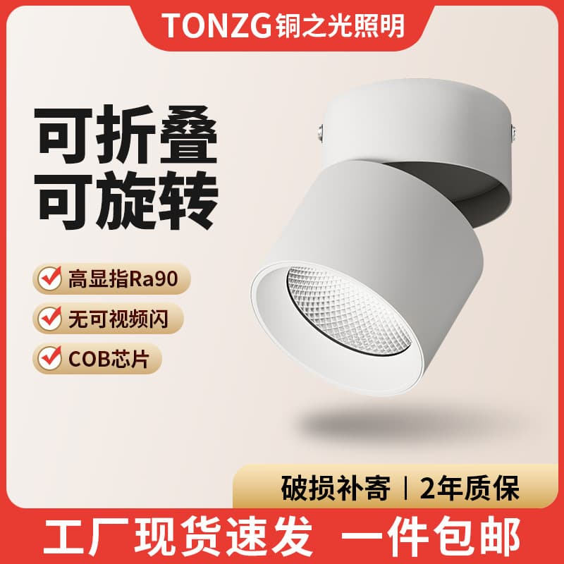 Adjustable Angle LED Full Spectrum Surface-Mounted Foldable Anti-Glare Spotlights for Living Room Walls, Entryway COB Ceiling Ambient Lights