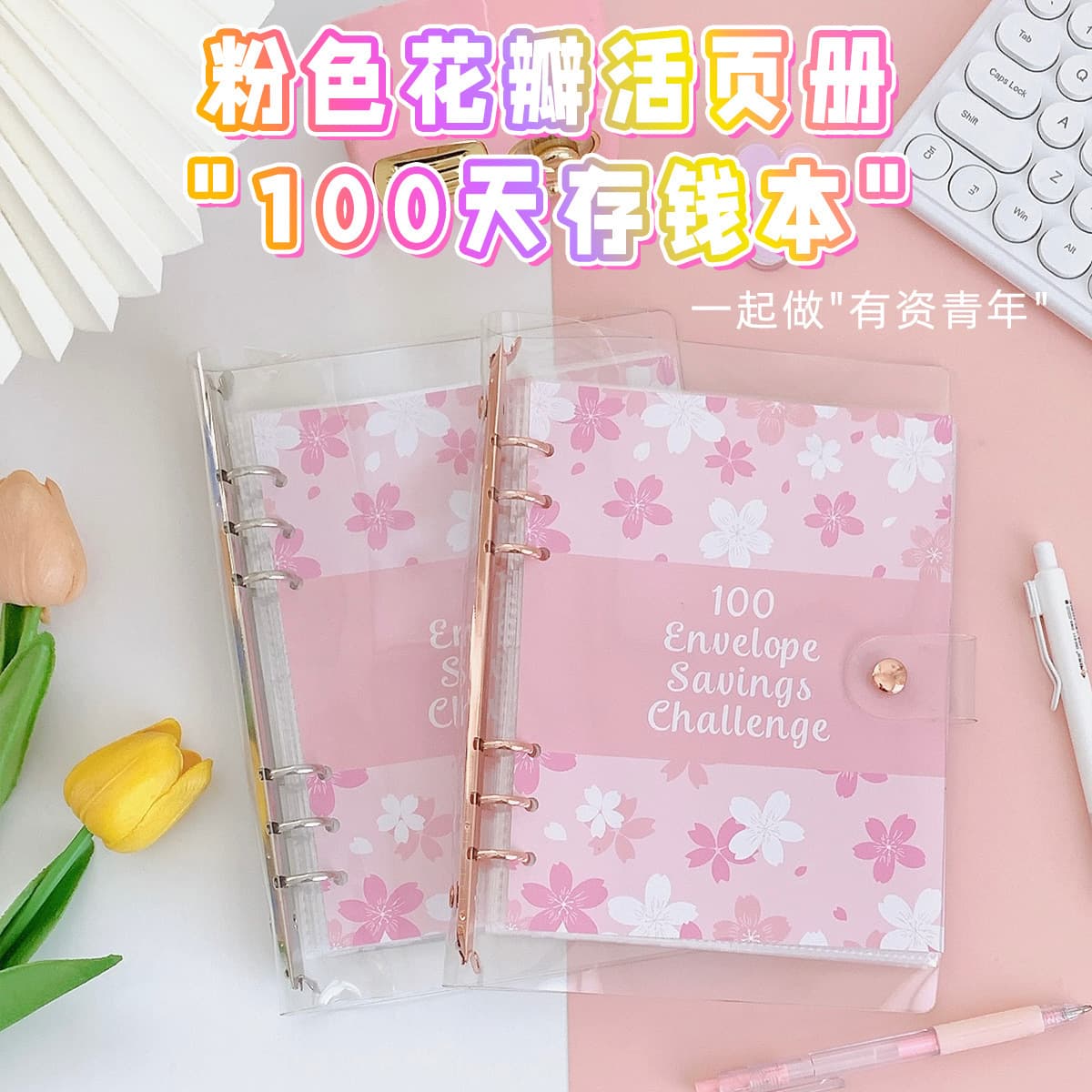 Cross-Border Exclusive PVC Notebook 100-Day Money-Saving Challenge Savings Book Cash Budget Savings Book Loose-Leaf Hand Ledger