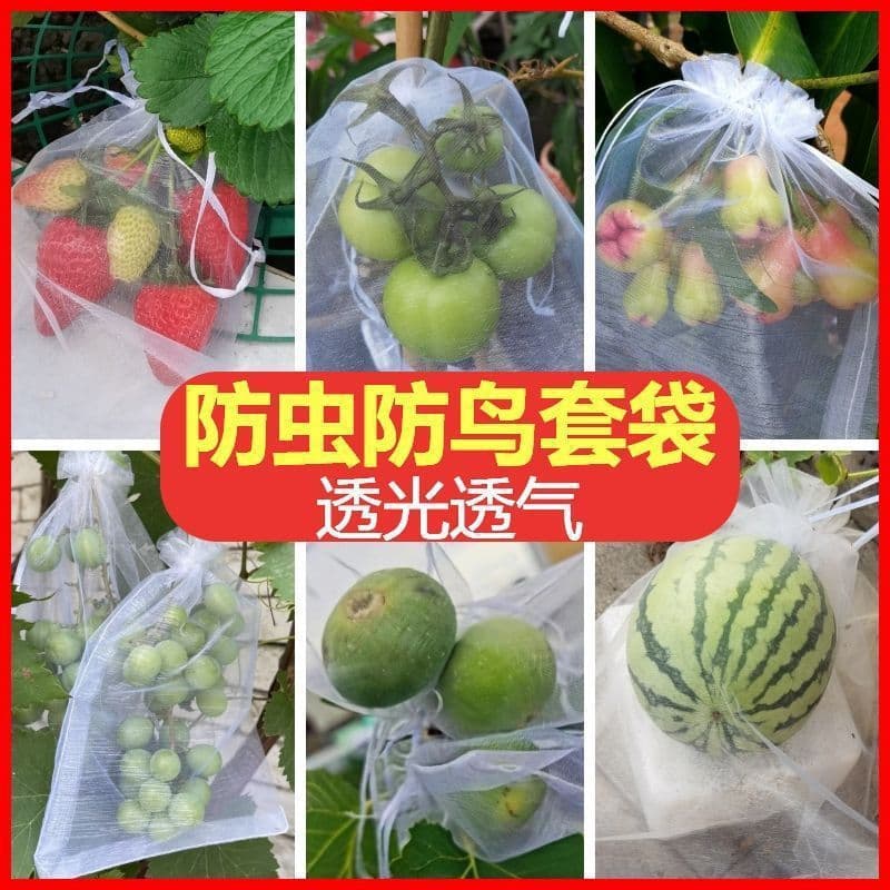 Insect-proof and bird-proof bagging, light-transmitting and breathable fruit bagging, special mesh bag for grapes, peaches and watermelon, non-degradable conventional type