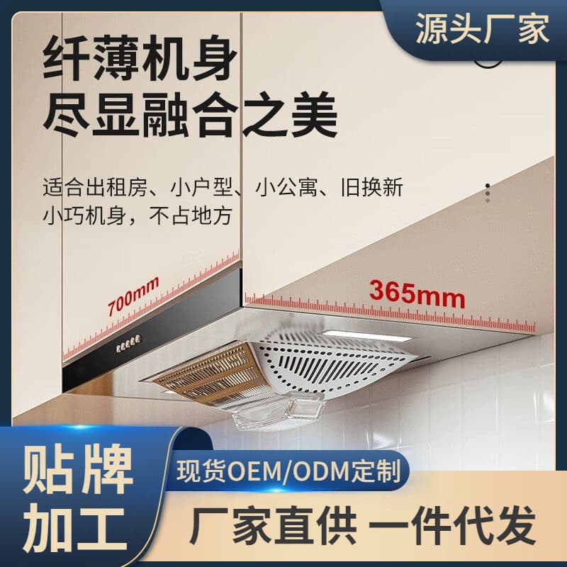 Apartment Kitchen Hood 70CM Top Mounted Small Size Oil Smoke Extractor for Rent Houses Hotel Use Low Profile Stainless Steel