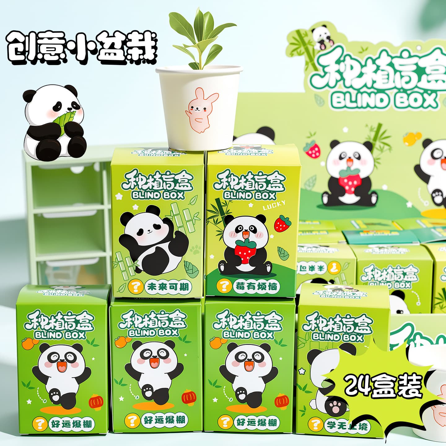 Panda DIY Green Plant Mini Potted Plant Office Desktop Plant Bonsai Children's Small Gift Planting Mini Potted Plant
