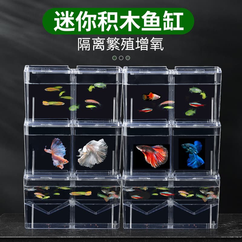 Dou Fish Plastic Acrylic Fish Tank Transparent Small Ecological Desktop Thai Dou Fish Building Blocks Box Office Landscape Tank