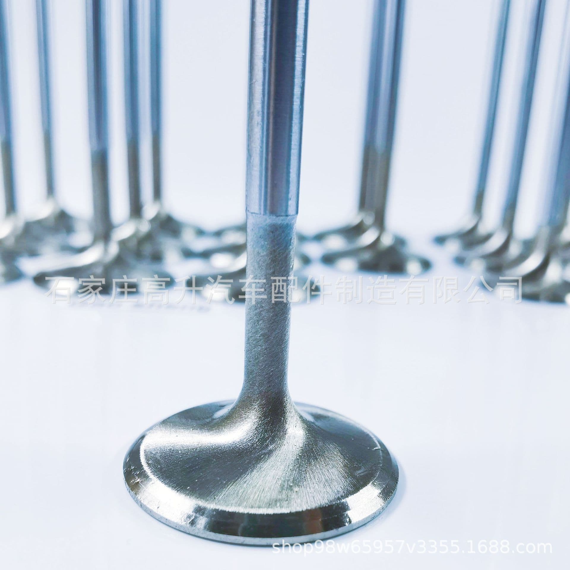 Valve Factory Compatible with BMW 528i 728i 11341273592 Engine Intake Valve Exhaust Valve