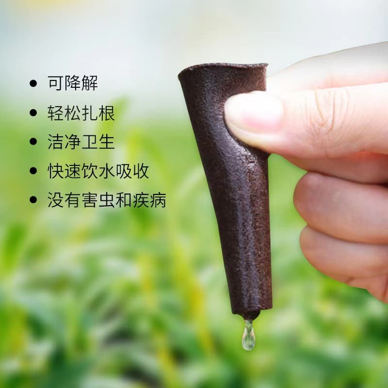 Growing cotton, biochar pads, hydroponic sponges, AB fertilizer, compatible with Aerogarden systems; free samples for e-commerce.