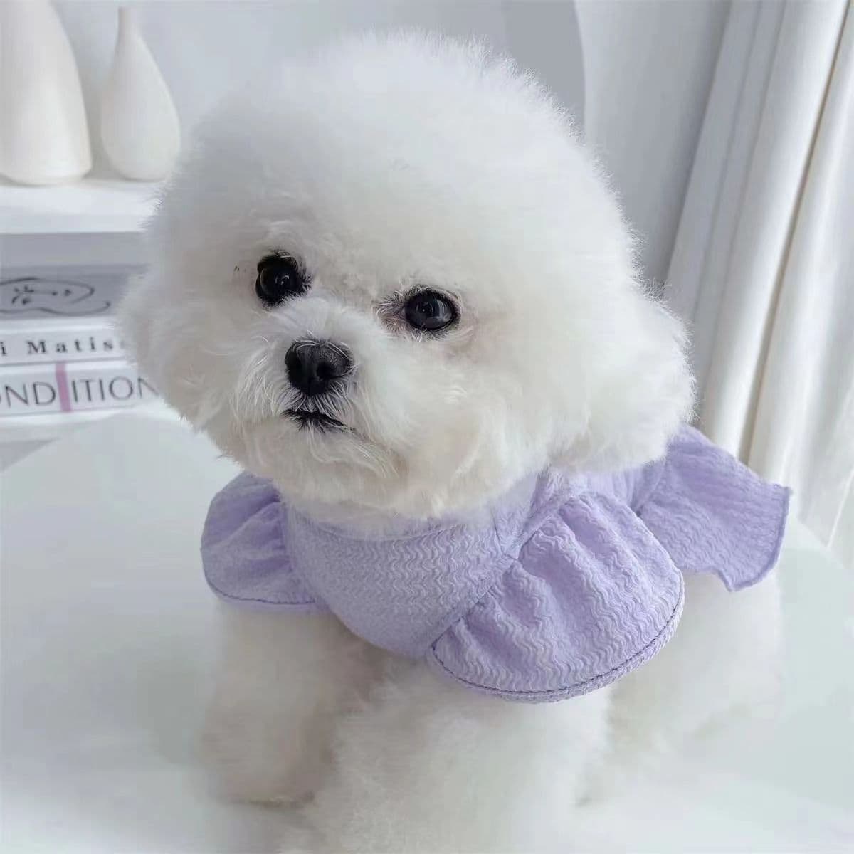 Dog Dress Princess Style Spring and Summer Clothing for Teddy, Bichon, Beagle, Casual Gown, Lightweight Pet Apparel