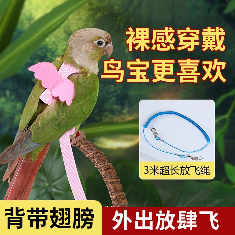 Bird Parrot Traction Release Rope Black Phoenix Tiger Skin Peony Flying Outing Carrier Bird Walking Artifact Supplies Toys