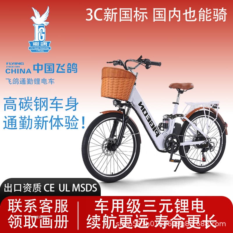 Feige Lithium Battery Ladies Commuting New National Standard Electric Bicycle for Adults Power-Assisted Battery Small Electric Vehicle