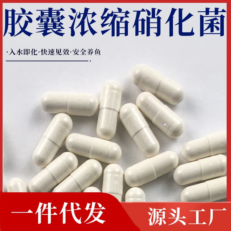 DuoYu Nitrifying Bacteria Capsules for Aquariums, Water Conditioner Concentrated Dry Powder Digestive Live Bacteria for Fish Keeping