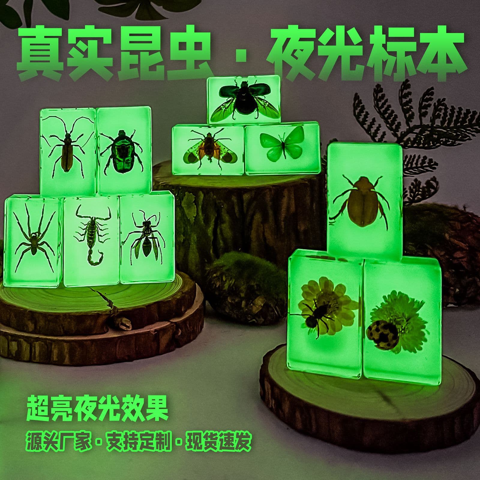 Back-to-school season research insect specimens with glowing features, including spiders and scorpions in resin, wholesale for science education toys.