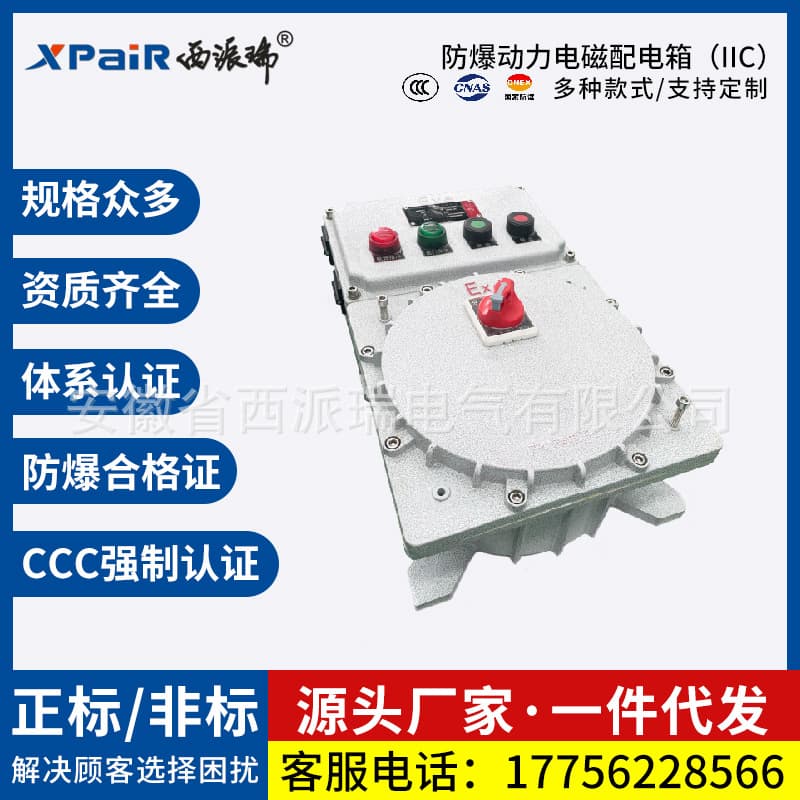 Explosion-proof Power Electromagnetic Distribution Box (IIC) Stainless Steel Explosion-proof Distribution Box Aluminum Alloy Waterproof Distribution