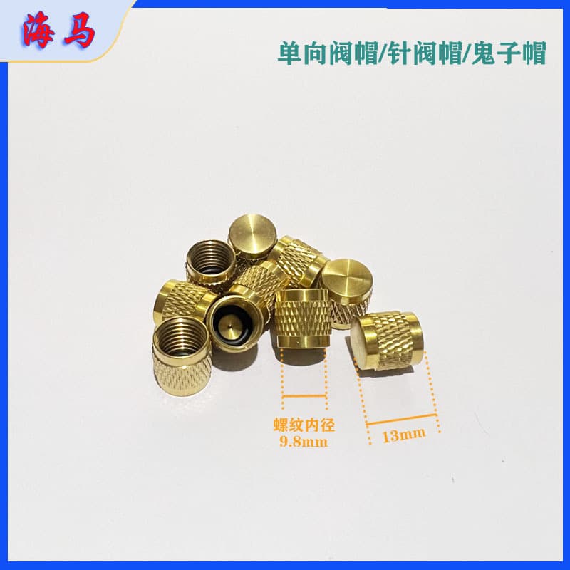 Gas nozzle cap, valve core, one-way valve cap, filling nozzle seal cap, gas nozzle valve, refrigeration equipment, refrigerator, household air conditioner accessories