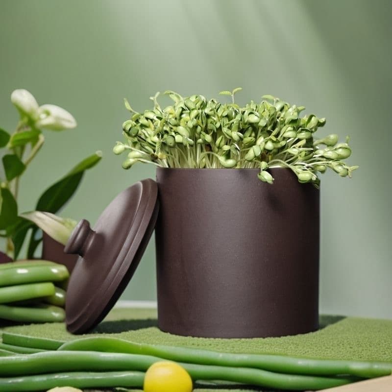 Automatic Purple Clay Bean Sprout Maker, Ceramic Sprouting Pot for Household Use