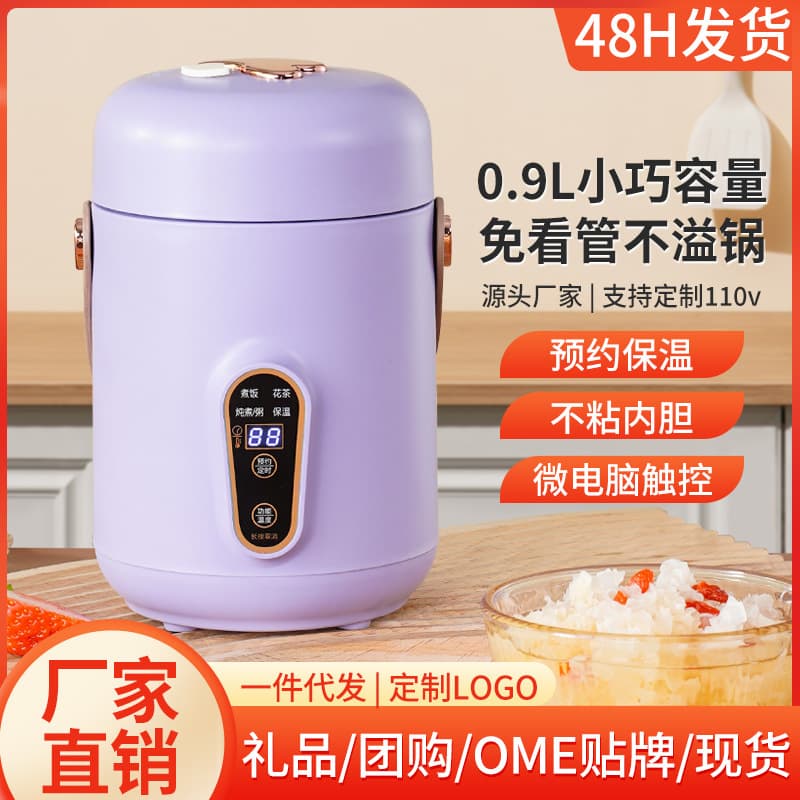 Smart US Standard 110V Household Soup and Porridge Electric Steaming Cup, Multi-functional Gift Electric Steamer, Electric Heating Pot with Handle