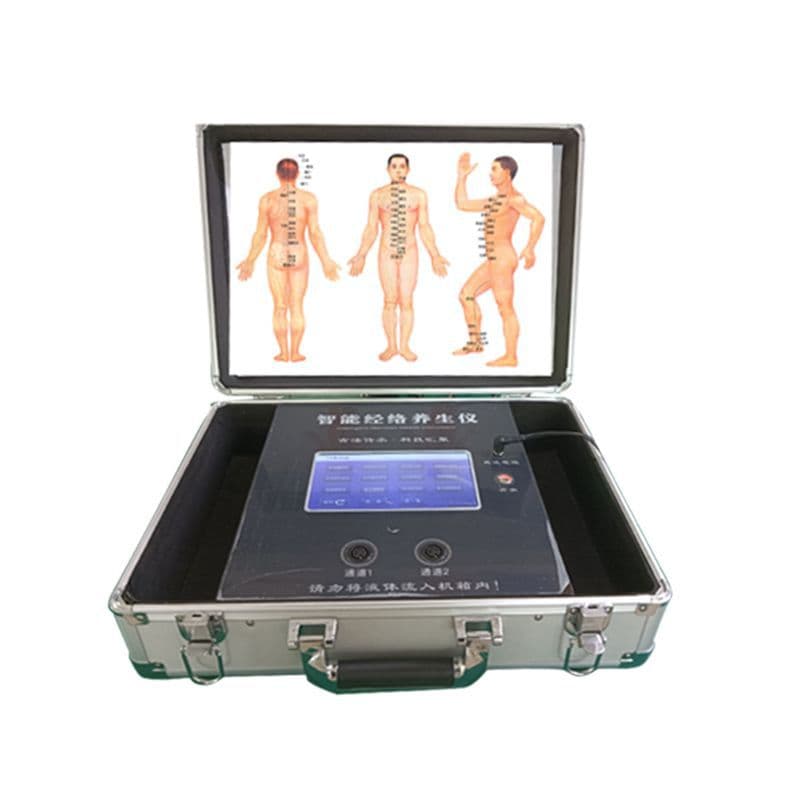 DDS Physical Therapy Device Health and Beauty Instrument Energy Master Meridian Master Traditional Chinese Medicine Bioelectric Triple Master