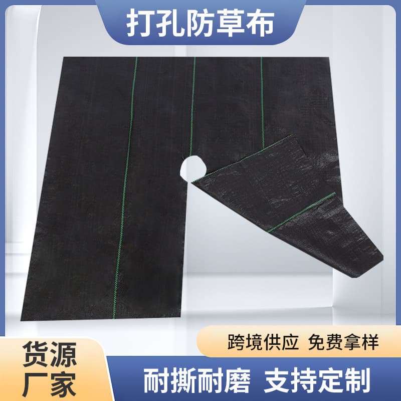 Perforated Slit Weed Barrier Fabric Weed Block Fabric Manufacturer Direct Cross-Border Supply Wholesale Slit Perforated Orchard Greenhouse Agricultural Use