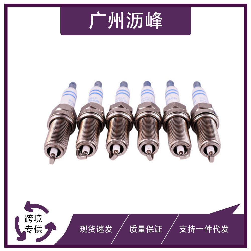12122158253 Auto Parts Spark Plug for BMW E60 E83 E85 E90 X5