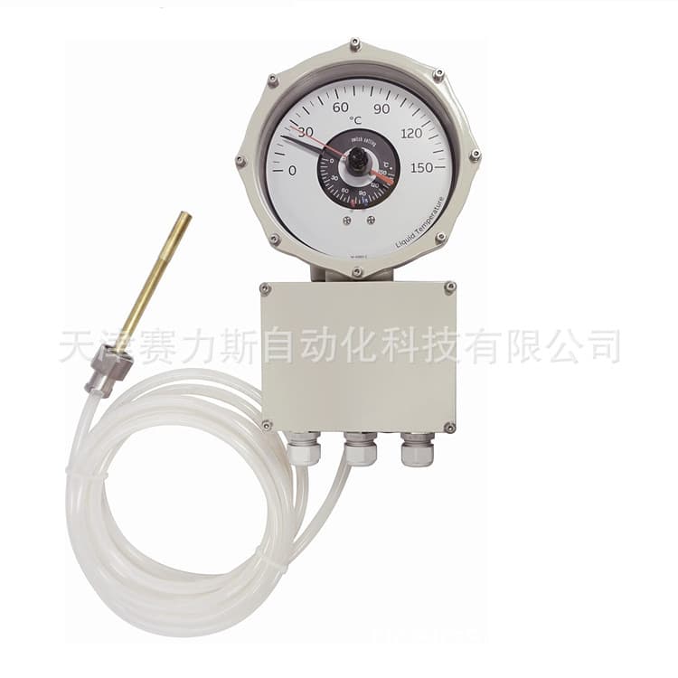COMEM Gas Relay BR80 LC Thermometer