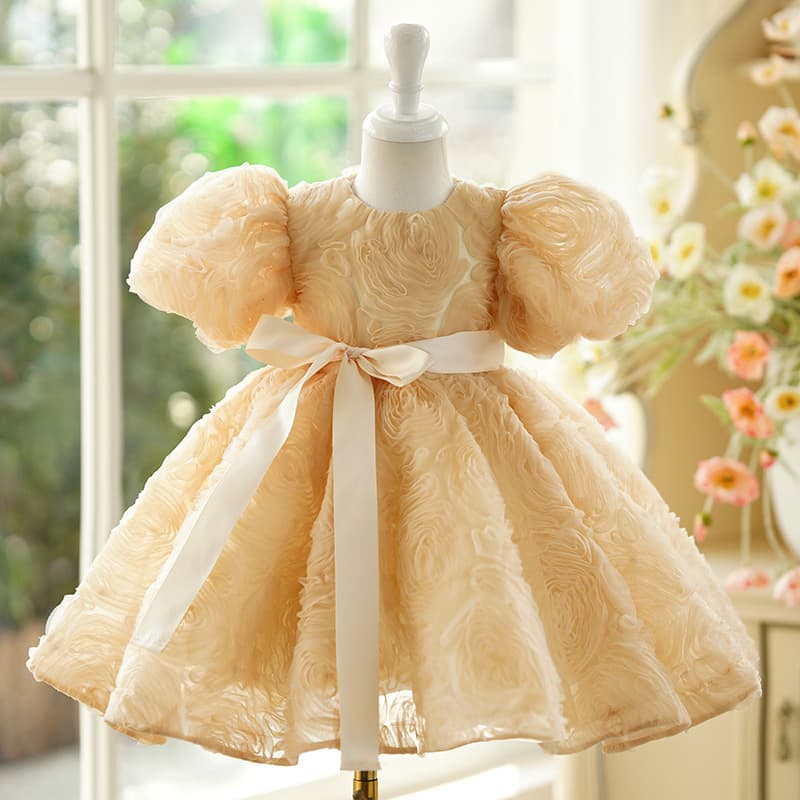 Girls' Princess Dress Formal Birthday First Birthday Flower Girl Tulle Dress Host Piano Performance Dress Girls' Performance Costume