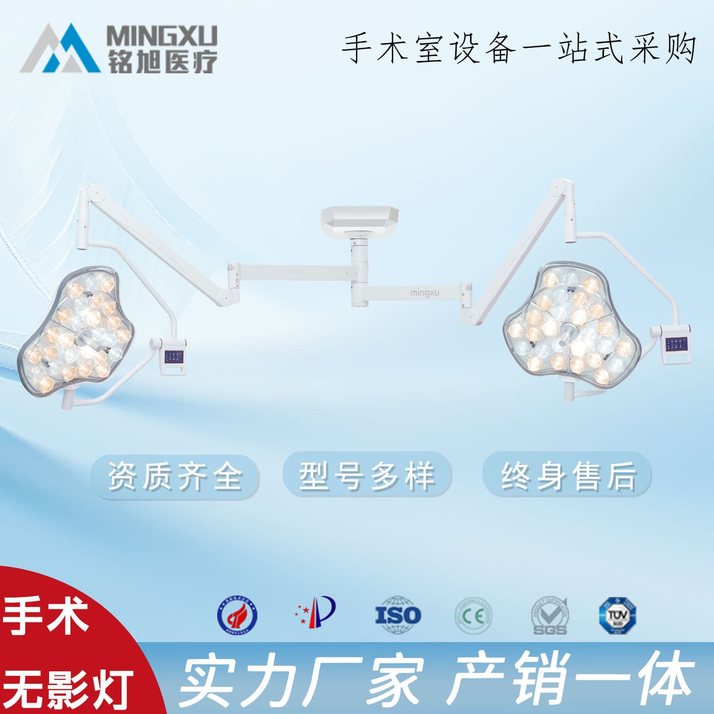 Shadowless Light LED Mother-Child/Single-Head Examination Lamp Ceiling-Mounted Mobile Triple-A General Pet Oral