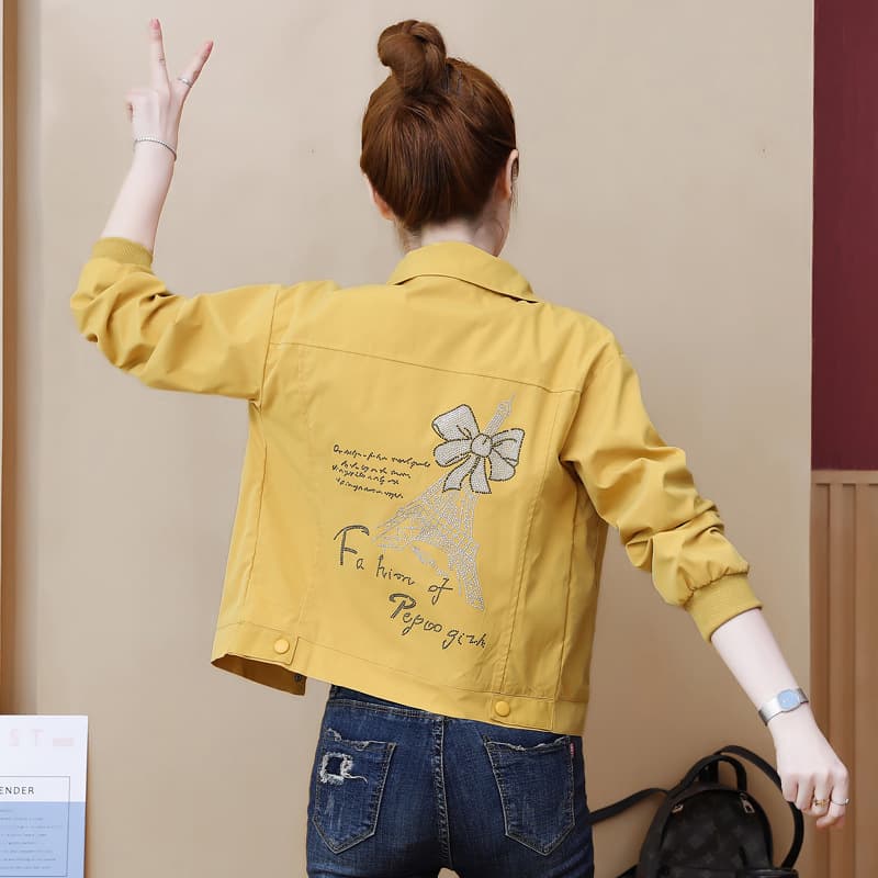 Women's Short Jacket Petite Casual Polo Collar Jacket Spring Autumn Korean Loose Slim Thin Top Women's Clothing
