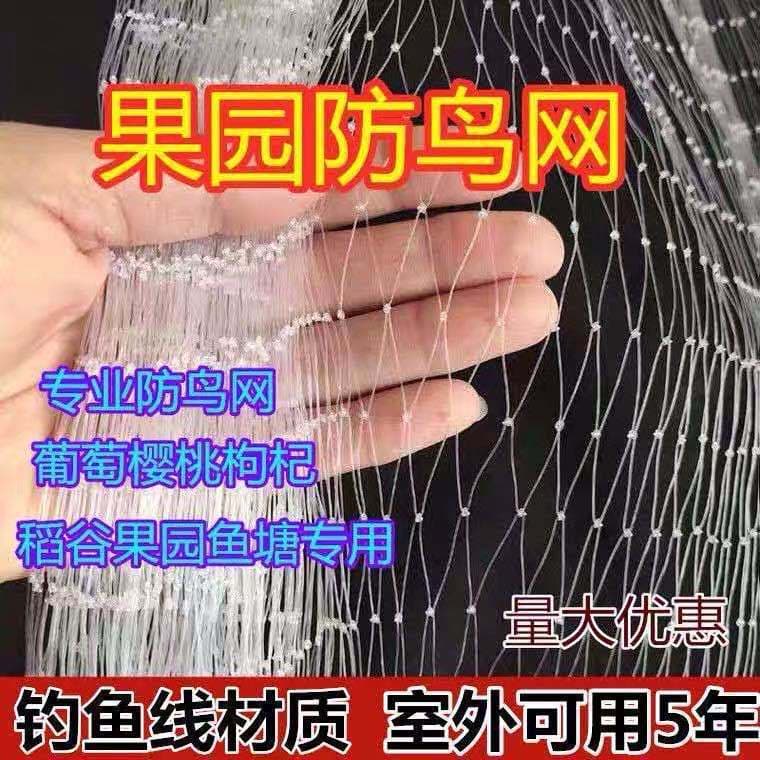 Bird Netting for Orchard Protection, Fish Pond, Garden, High-Strength Bird Barrier Net