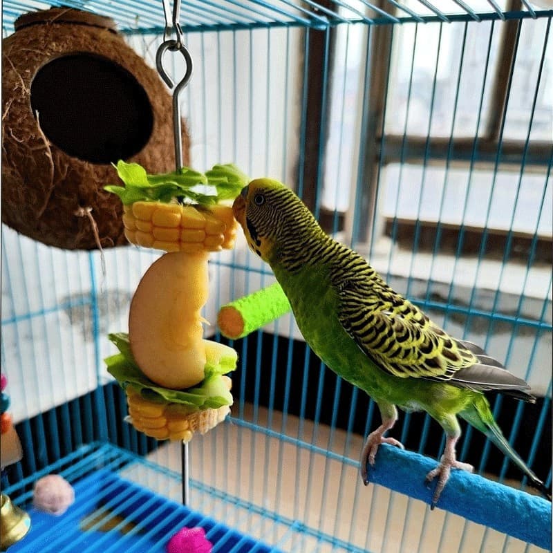 Pet Parrot Bird Rabbit Rat Squirrel Stainless Steel Fruit Fork Bird Feeder Toy Bird Supplies Cage Accessories