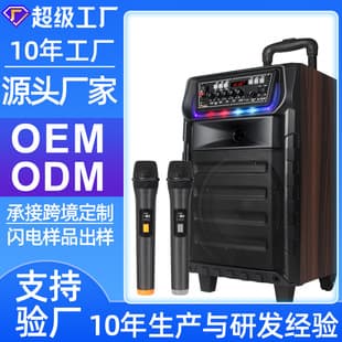 Outdoor Speaker for Square Dancing and KTV with Bluetooth Microphone, Bass Pull-rod Speaker, Cardioid Microphone