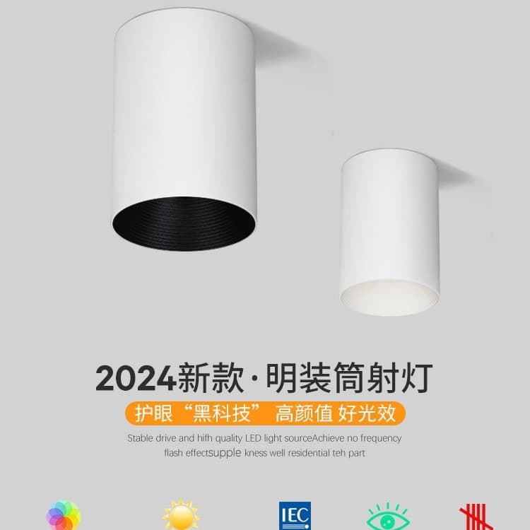 Surface-mounted downlight spotlight ceiling light, no-drill home use round ceiling type for foyers, hallways, bedrooms, main-light-free.