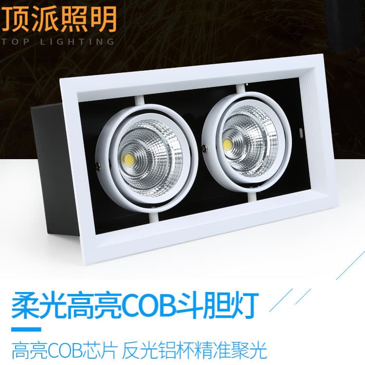 LED recessed grille spotlight, dual-head AR111 embedded square ceiling COB downlight, single/dual/triple head options