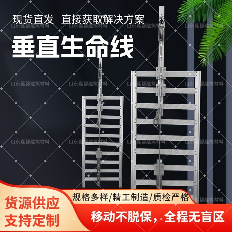 Vertical Lifeline Chemical Plant Ladder Vertical Lifeline Equipment Pipeline Ladder Indoor/Outdoor Ladder Installation Device