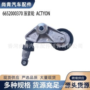 6652000370 Tensioner Pulley for Korean Car SsangYong Actyon Rexton Kyron