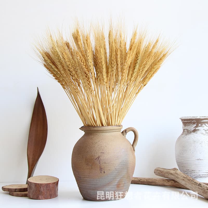 Rhapsody [Natural Sun-Dried Yellow Wheat Ears] Yellow Forest Natural Real Flower Wedding Opening Rustic Home